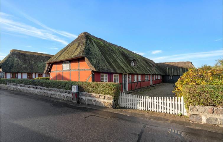 Ferienwohnung für 5 Personen, mit Terrasse, mit Haustier auf Langeland - 4