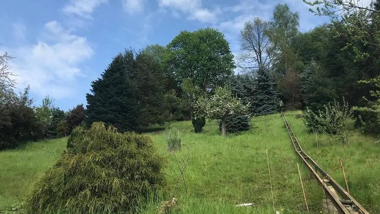Ganze Ferienwohnung, Ferienwohnung für 4 Personen (52 m²) in Königstein/Sächsische Schweiz in Königstein, Elbsandsteingebirge