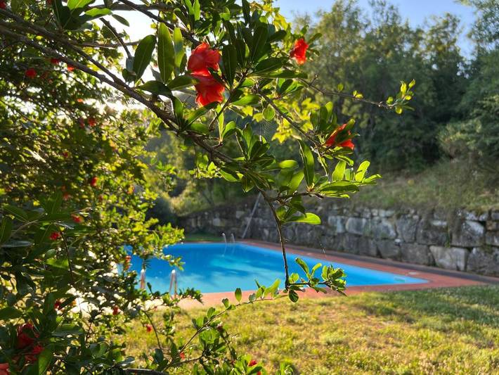 Chambre d’hôte pour 2 personnes, avec Terrasse et Jardin ainsi que Piscine et Vue à Brisighella