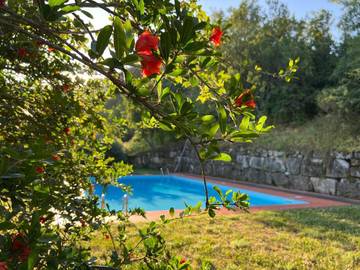 Chambre d’hôte pour 2 personnes, avec vue ainsi que jardin et piscine, animaux acceptés à Brisighella