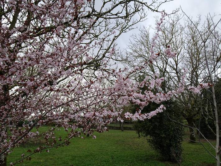 Gîte pour 5 personnes, avec jardin et terrasse à Rocamadour - 3