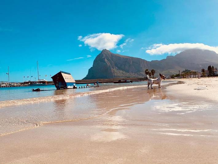 Chambre d’hôte pour 8 personnes, avec jardin, adapté aux familles à San Vito Lo Capo - 4