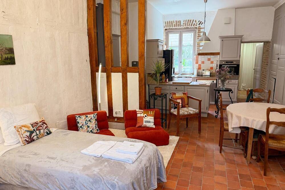 Appartement entier, Studio centre-ville, animaux admis - 2 pers. in Blois, Région de Blois