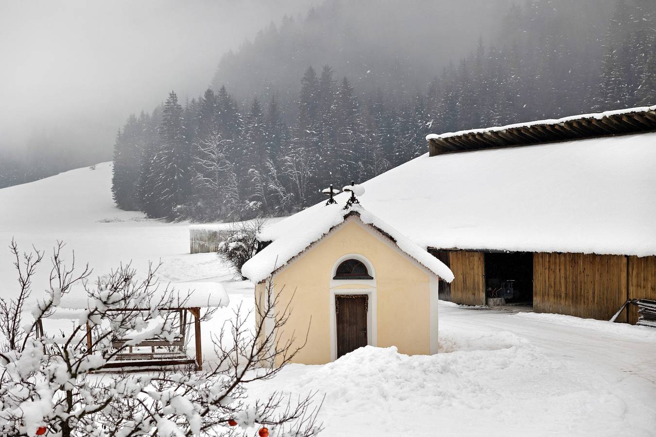 Ganzes Studio, Einzimmerapartment 'Untersinnerhof Apt Herbst' mit Bergblick, Gemeinschaftsgarten und Wi-Fi in Villgratner Berge, Gsies