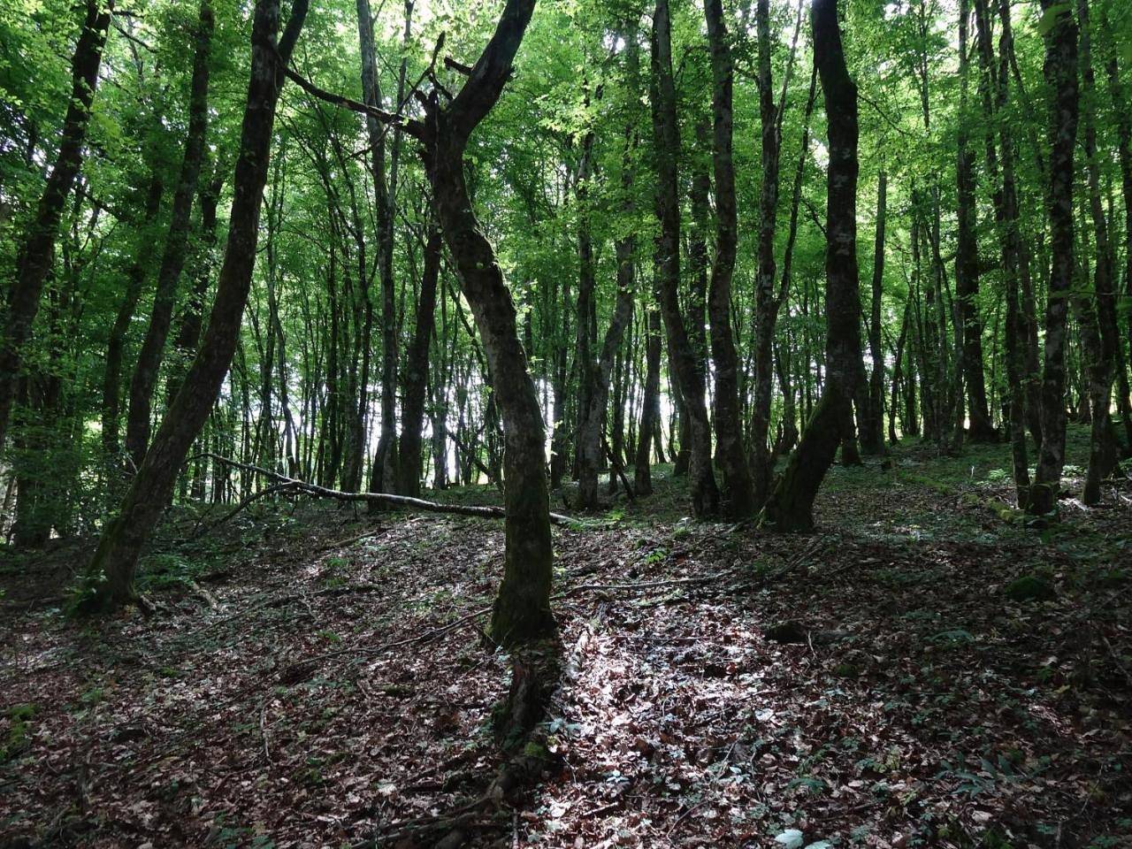 Hôtel l'Annexe in Moux-en-Morvan, Parc naturel régional du Morvan