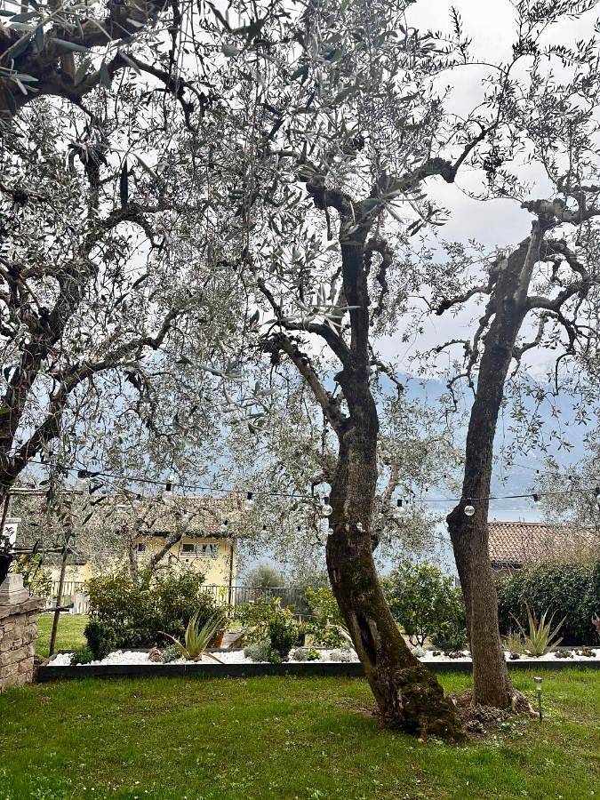 Ferienwohnung für 3 Personen, mit Seeblick und Garten sowie Ausblick, mit Haustier in Limone sul Garda - 2