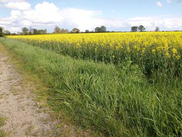 Ferienwohnung für 4 Personen in Dreiheide, Sächsisches Burgen- und Heideland, Bild 3