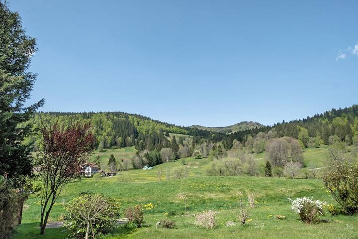 Ferienwohnung für 3 Personen, mit Garten in Menzenschwand (St. Blasien) - 4