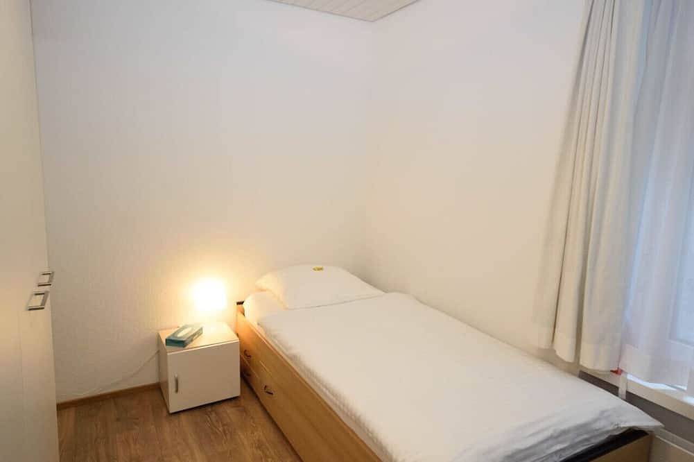 Entire apartment, Cozy studio near main station (Color 2) in Zurich, Zurich district