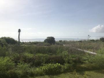 Vacation Apartment for 6 Guests in South Carolina Lowcountry, Daufuskie Island, Picture 4