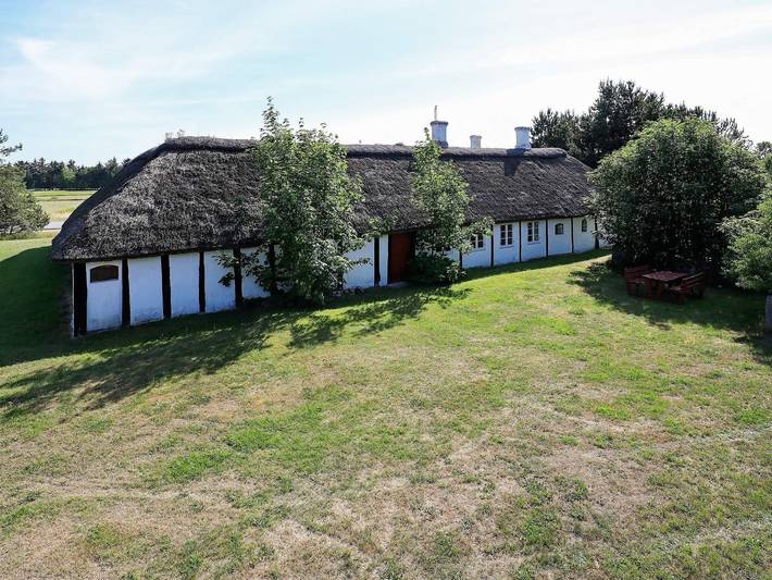 Ferieudlejning for 12 personer, med Terrasse på Læsø