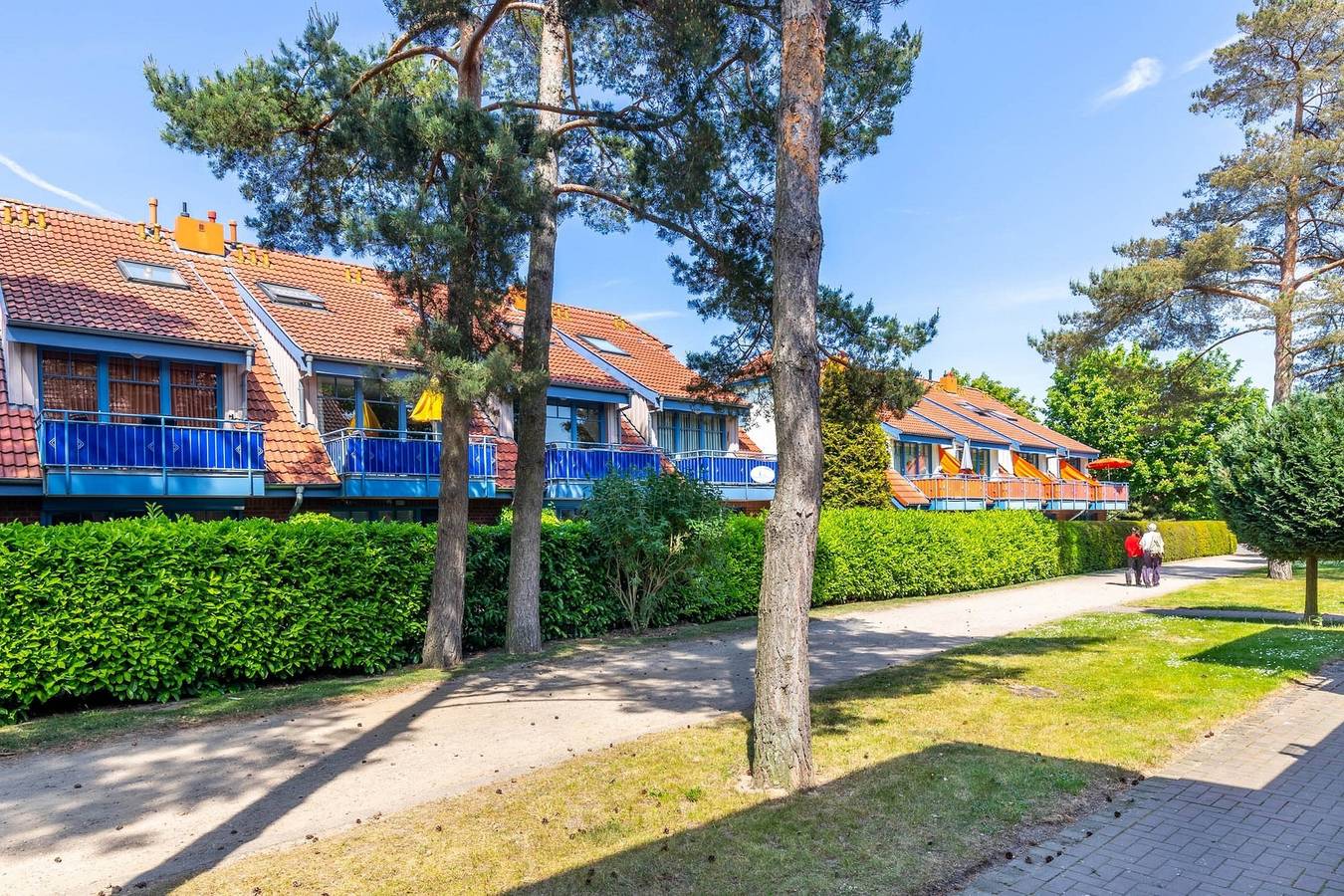 Appartement de vacances entier, Papillon 16-2 Wohnung "Möwe" in Boltenhagen, Mecklembourg-du-Nord-Ouest