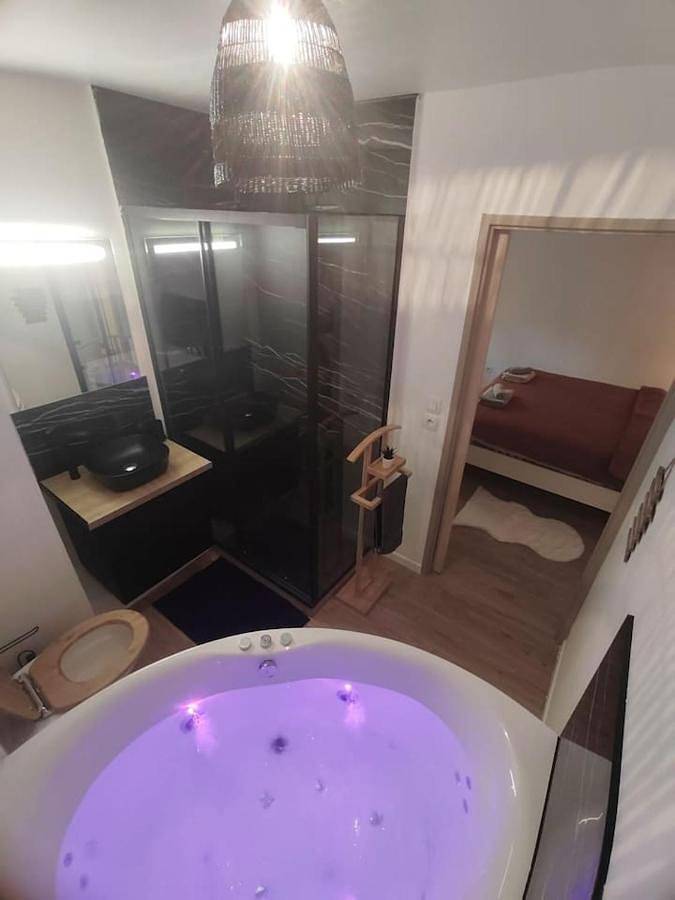 Gîte pour 4 personnes, avec jardin et jacuzzi à Blagnac - 2
