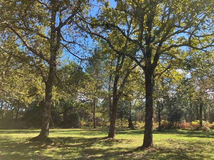 Location de vacances pour 4 personnes, avec jardin et vue à Uza - 4
