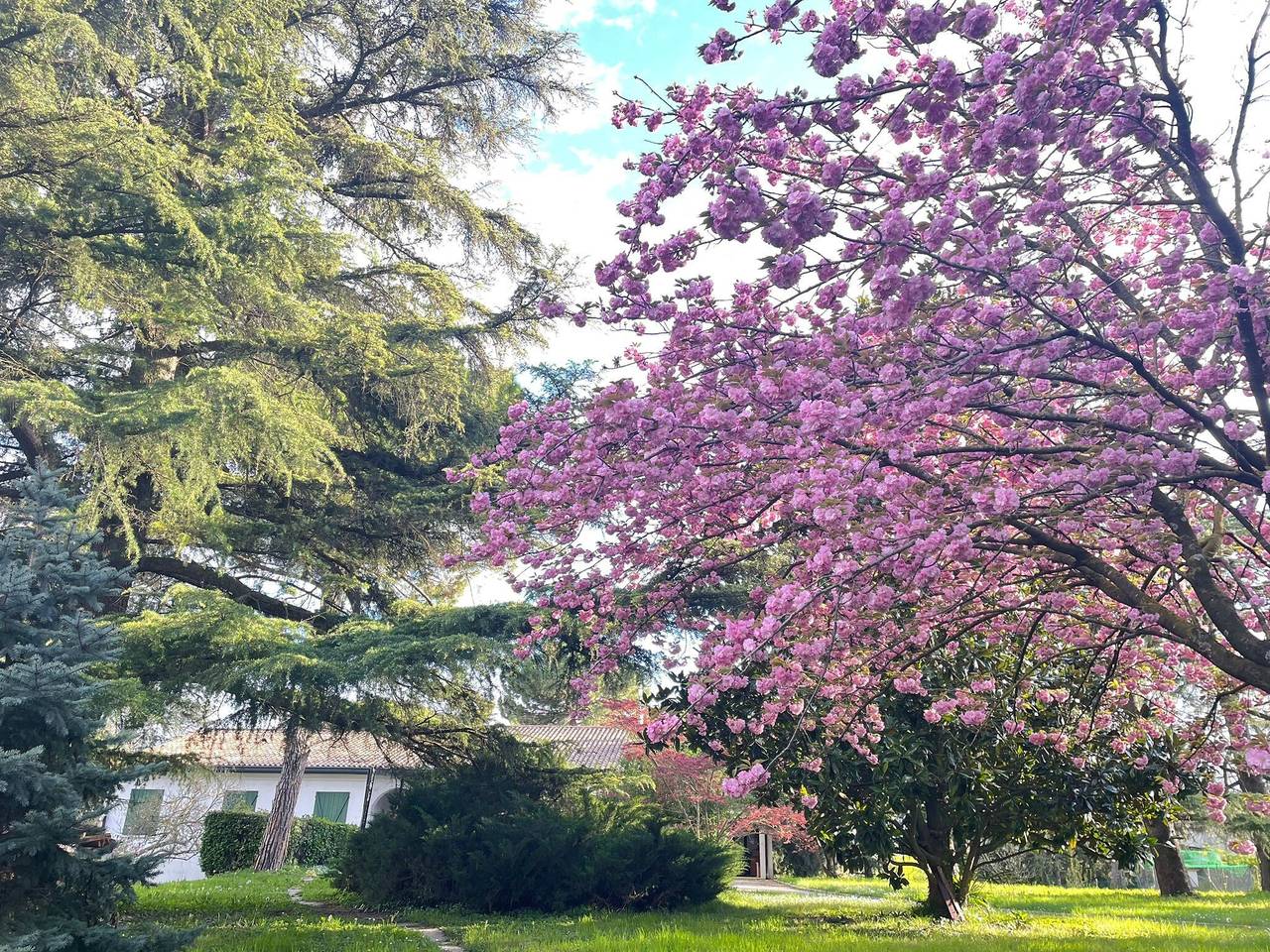 Villa 'Giacinti' con giardino privato e Wi-Fi in Padova, Provincia di Padova