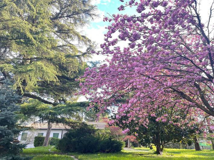 Ferienhaus für 10 Personen, mit Garten in Padua - 4