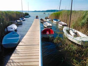Ferienhaus für 13 Personen in Szantod, Südtransdanubien, Bild 3