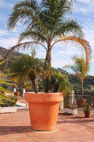 Chalet para 2 personas, con jardín además de vistas y piscina, Se admiten mascotas en Provincia de Málaga - 4