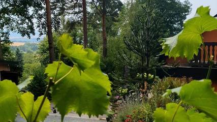 Ferienhaus für 2 Personen in Lohmen (Sachsen), Elbsandsteingebirge, Bild 2