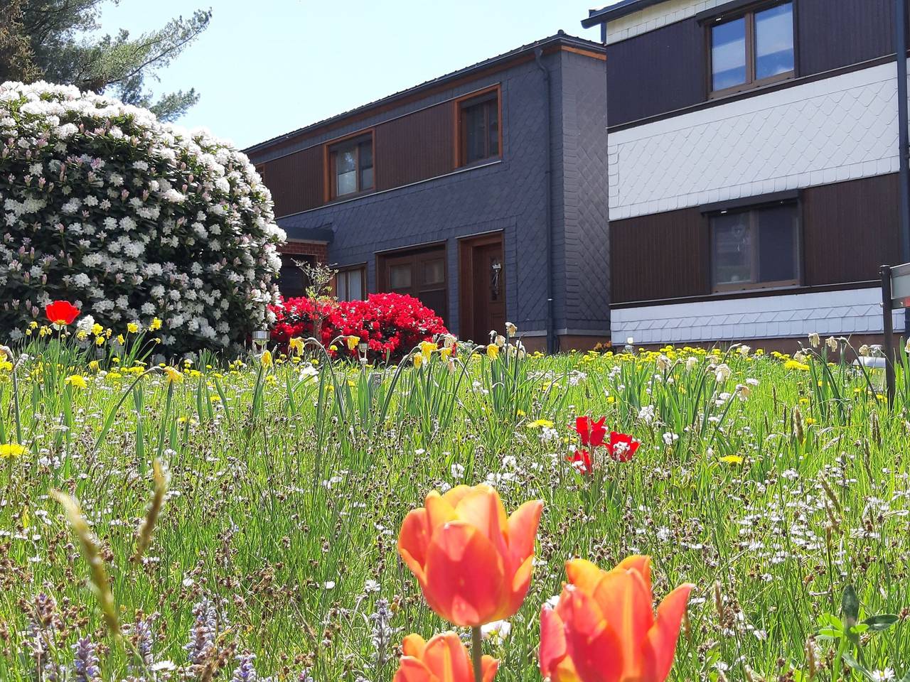 Ganze Wohnung, Berndt in Meuselbach-Schwarzmühle, Ostthüringen