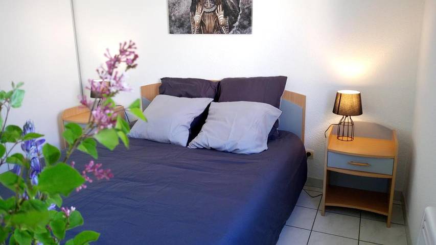 Gîte pour 4 personnes, avec vue et jardin, animaux acceptés dans Pescalis Moncoutant