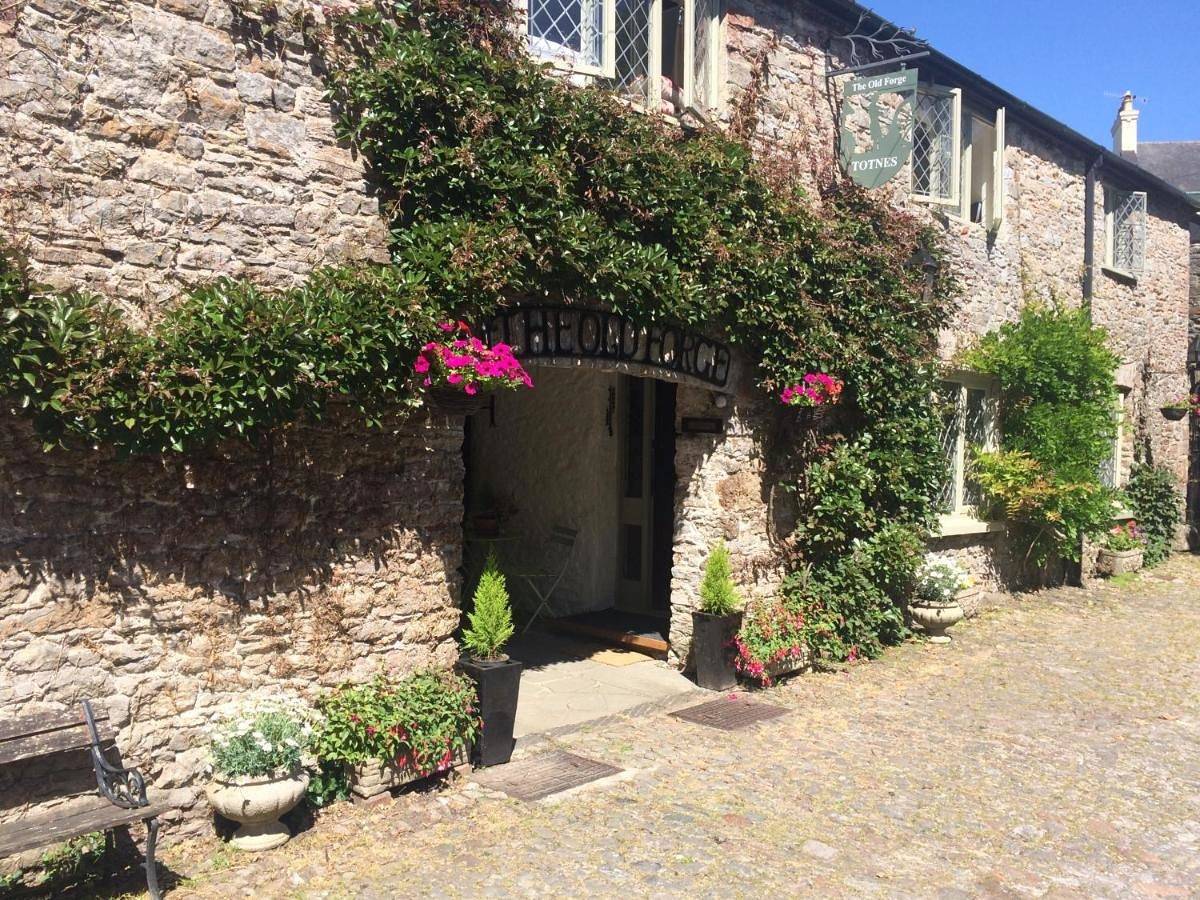 Standard Double Room in Totnes, Devon