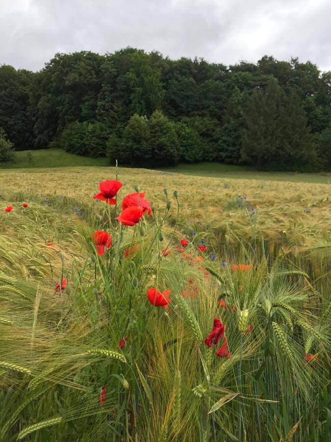 Chambre d’hôte pour 5 personnes, avec terrasse ainsi que vue et jardin en Suisse