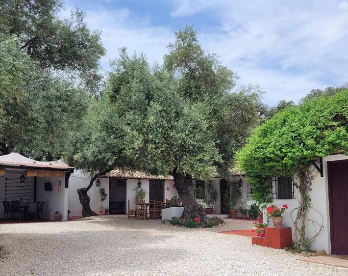 Casa de vacaciones para 9 personas, con vistas además de piscina y jardín - 1