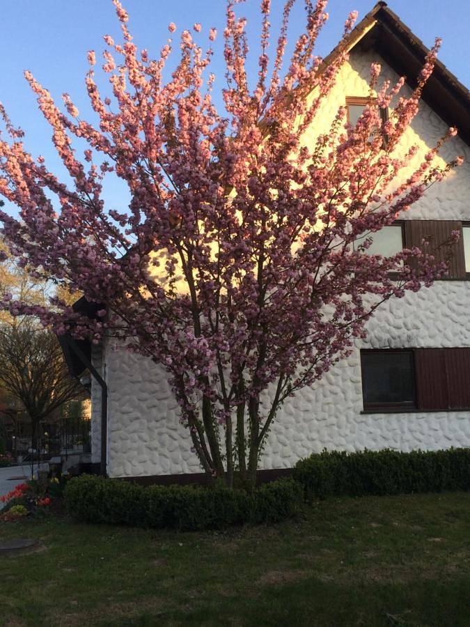 Appartement de vacances pour 5 personnes, avec balcon