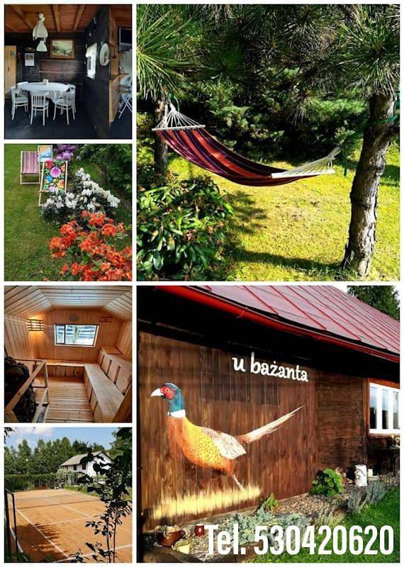 Domek letniskowy dla 8 osób, z Taras i Ogród oraz Sauna i Widok w Uherce Mineralne
