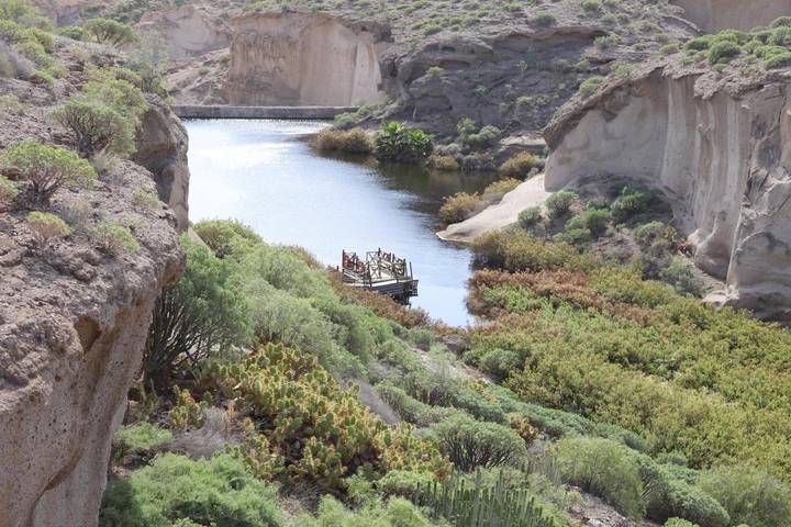 Resort für 2 Personen, mit Garten und Sauna sowie Terrasse und Whirlpool in Teneriffa Süd - 4