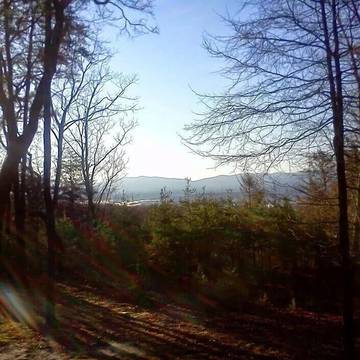 Log Cabin for 4 People in Blount County, Photo 2