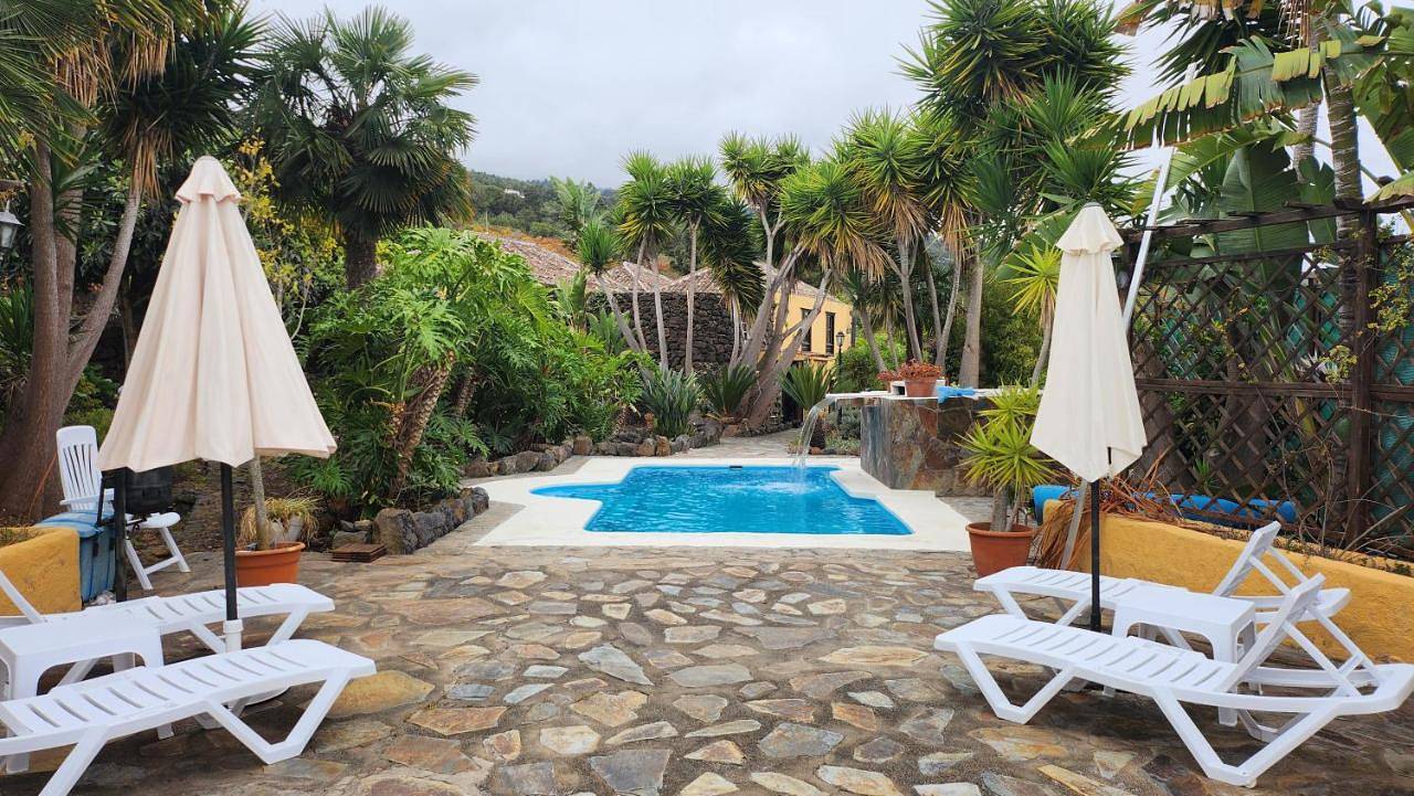 Deluxe One-Bedroom Apartment with Garden View in Cueva del Viento, Icod de los Vinos