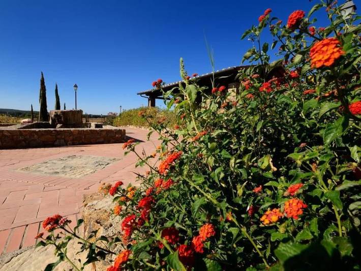 Apartamento entero, Zwei-Zimmer-Wohnung mit Garten in Campiglia Marittima, Costa Etrusca