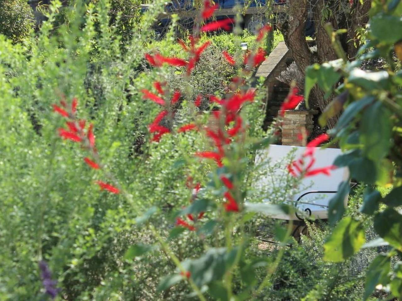 Ganze Wohnung, Ariete in Montone, Valtiberina