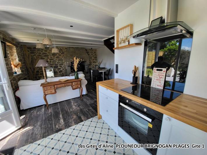 Gîte pour 4 personnes, avec terrasse et jardin, animaux acceptés à Plounéour-Trez - 4
