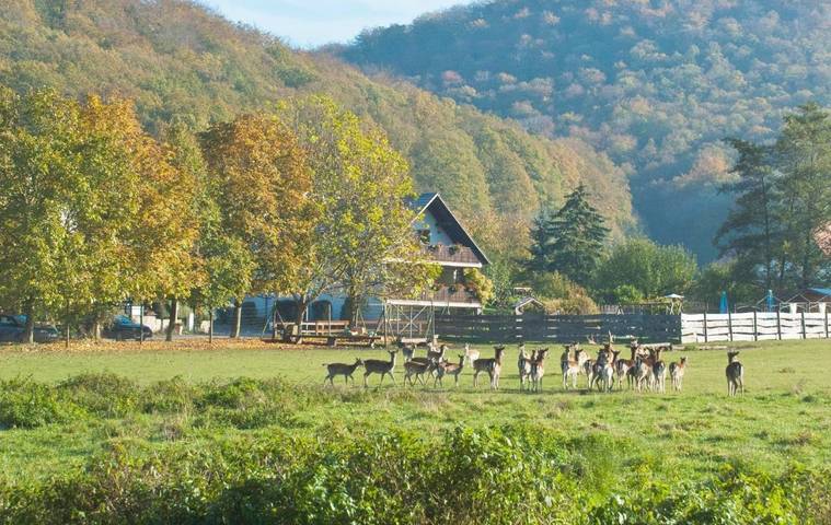 Gästehaus für 2 Personen, mit Terrasse und Garten sowie Ausblick in Oberschwarzach
