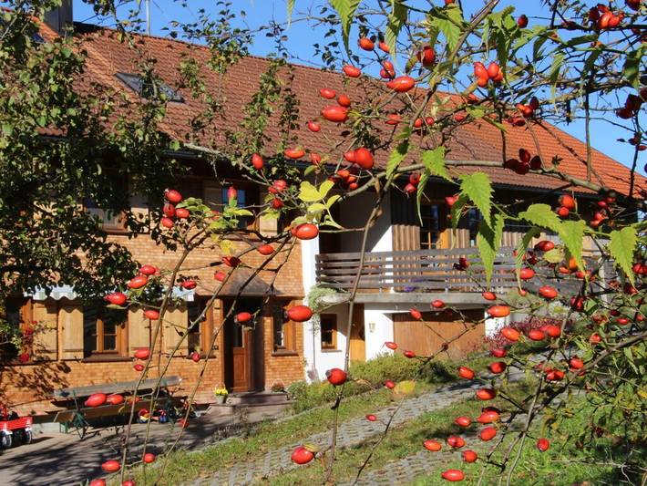 Ferienhaus für 4 Personen, mit Balkon und Garten in Weiler-Simmerberg
