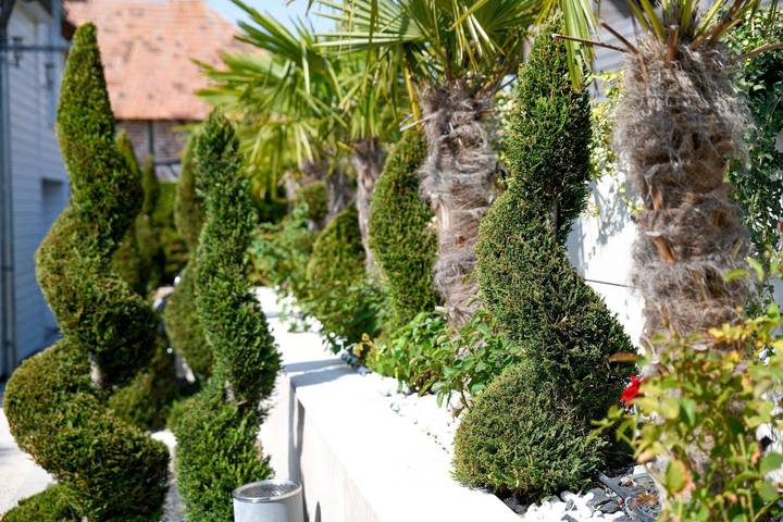 Chambre d’hôte pour 4 personnes, avec jardin et piscine dans l' Aube - 4