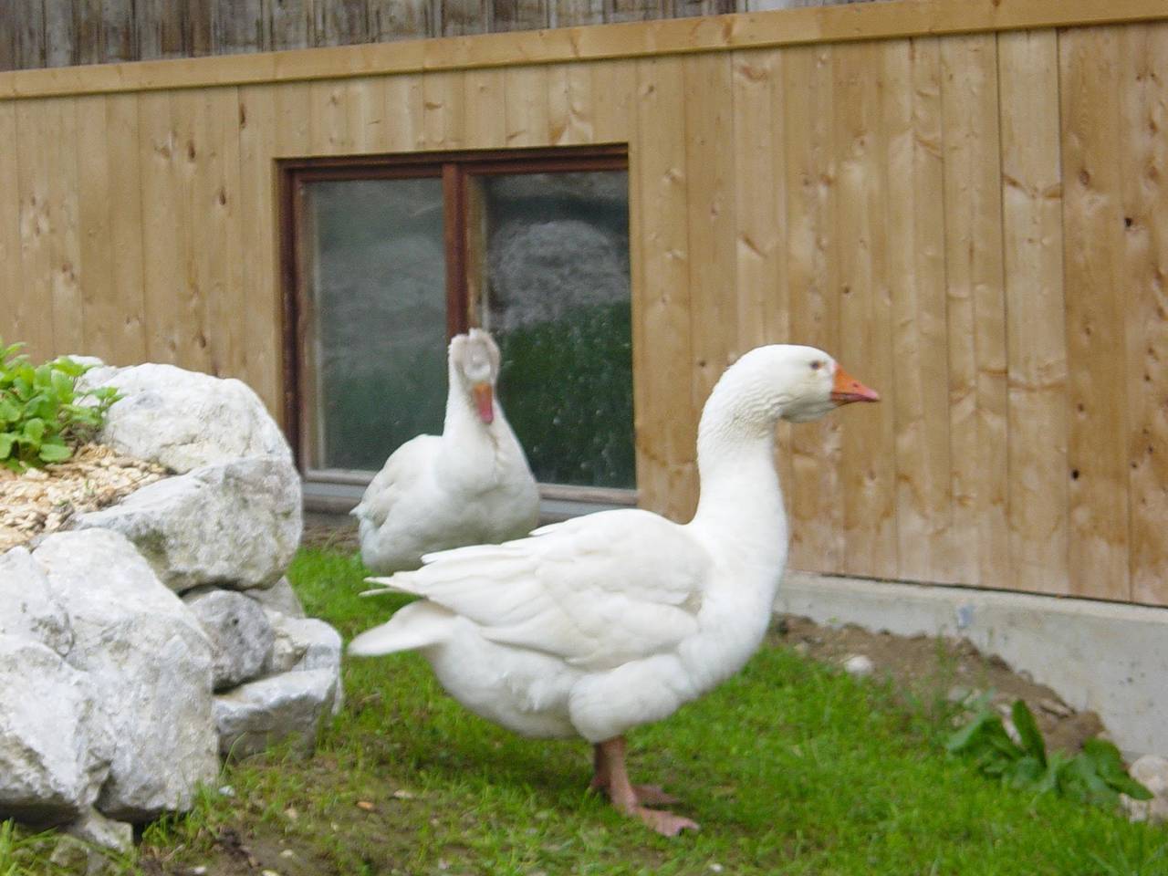 Ganze Ferienwohnung, Ferienwohnung für 5 Personen mit Sauna in Spital am Pyhrn, Kirchdorf an der Krems (Bezirk)