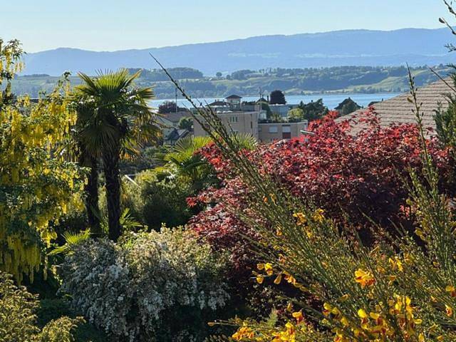 Location de vacances pour 7 personnes, avec jardin et vue sur le lac à Morat - 4