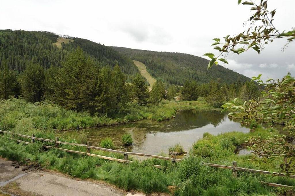Ganze Wohnung, Frostfire auf der Beaver Ponds! Top Notch Einheit, zu Fuß zu den Pisten in Arapahoe Basin
