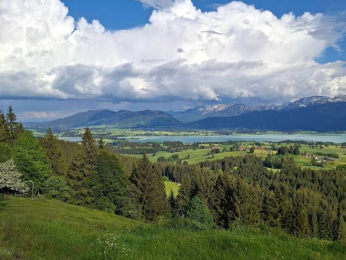 Ferienwohnung für 3 Personen, mit Balkon in Roßhaupten - 4