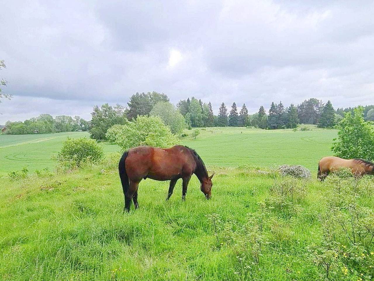 4 Sterne Ferienhaus in Uppsala in Uppsala