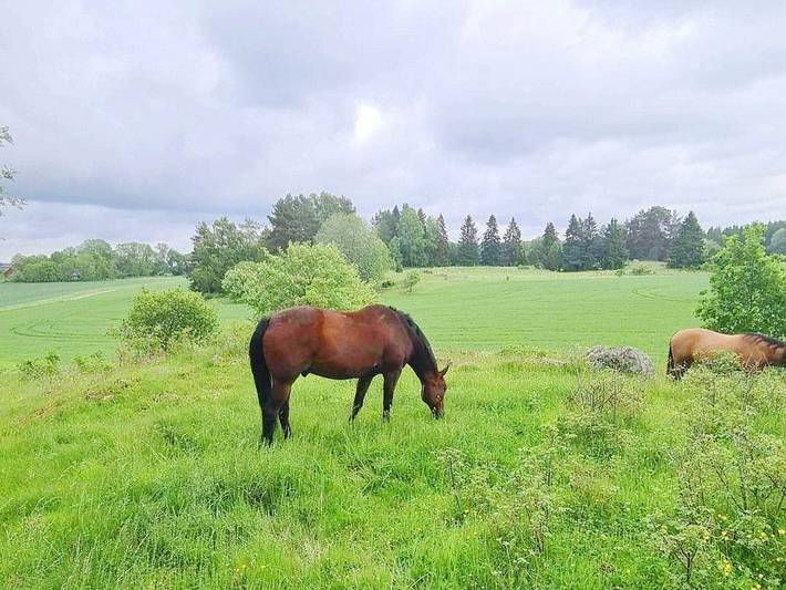 Location de vacances pour 4 personnes, avec balcon, adapté aux familles dans Uppsala - 2