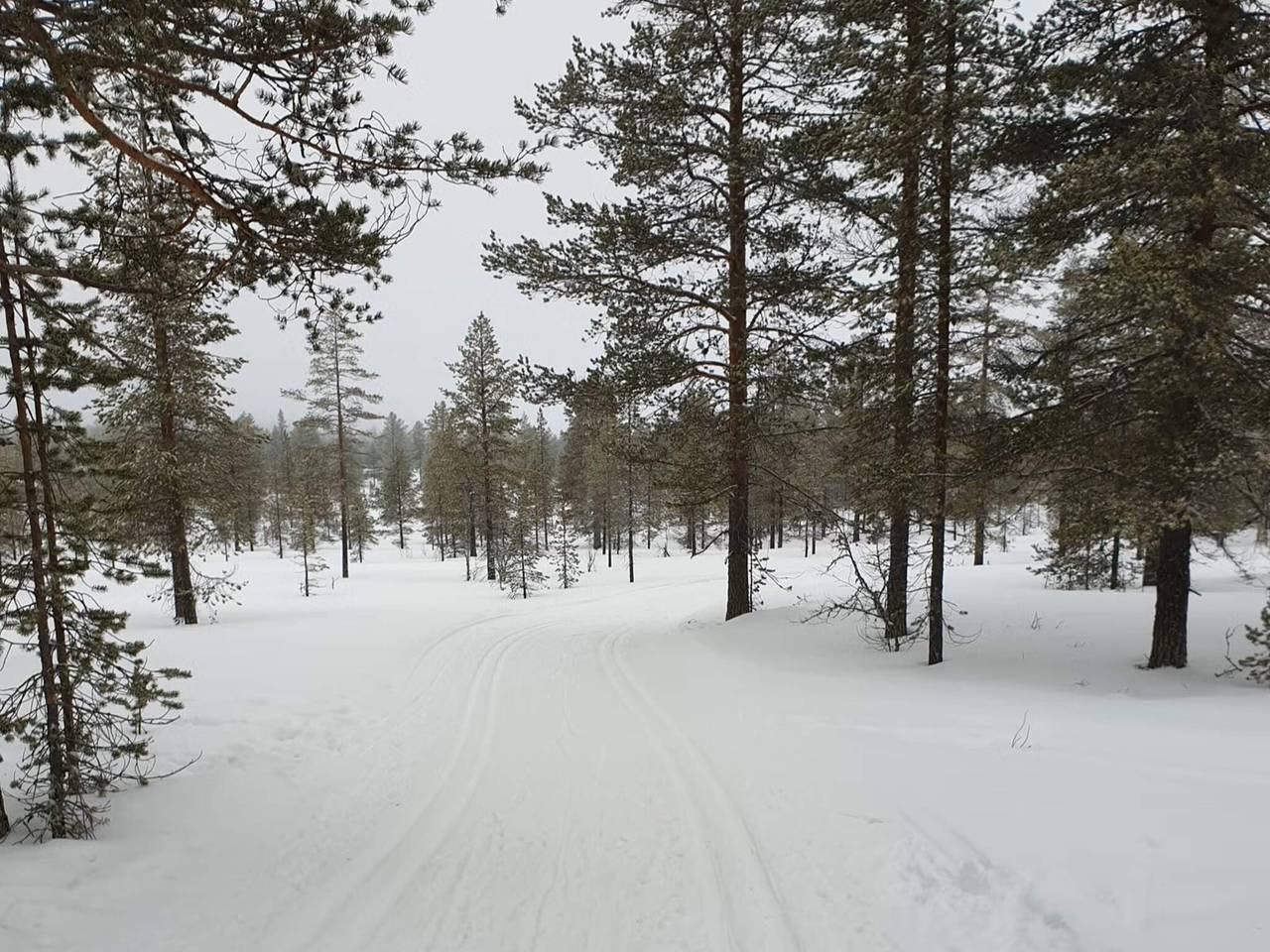 8 person ferie hjemme i Jordet in Trysil 