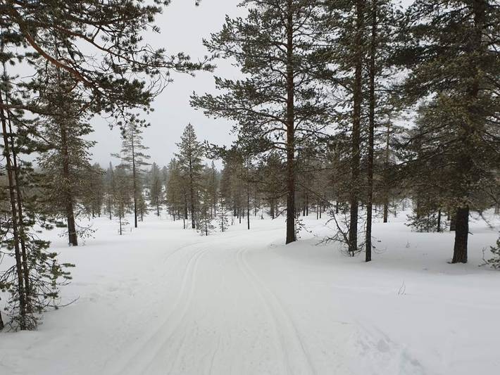 Ferienhaus für 8 Personen, mit Terrasse, mit Haustier in Trysil - 4
