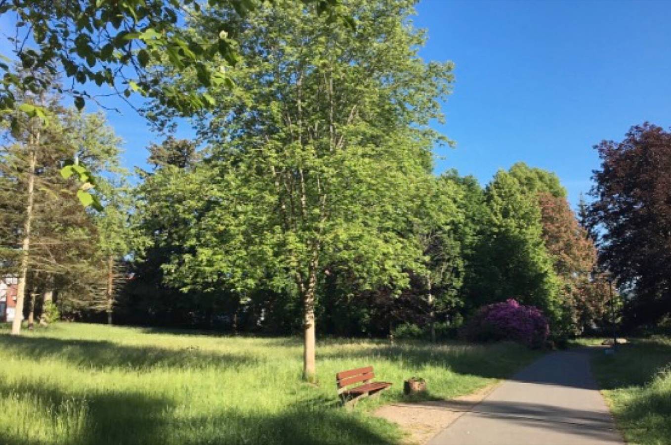 Einzelzimmer Comfort in Schlitz mit Wlan in Schlitz, Rhön-Hessen