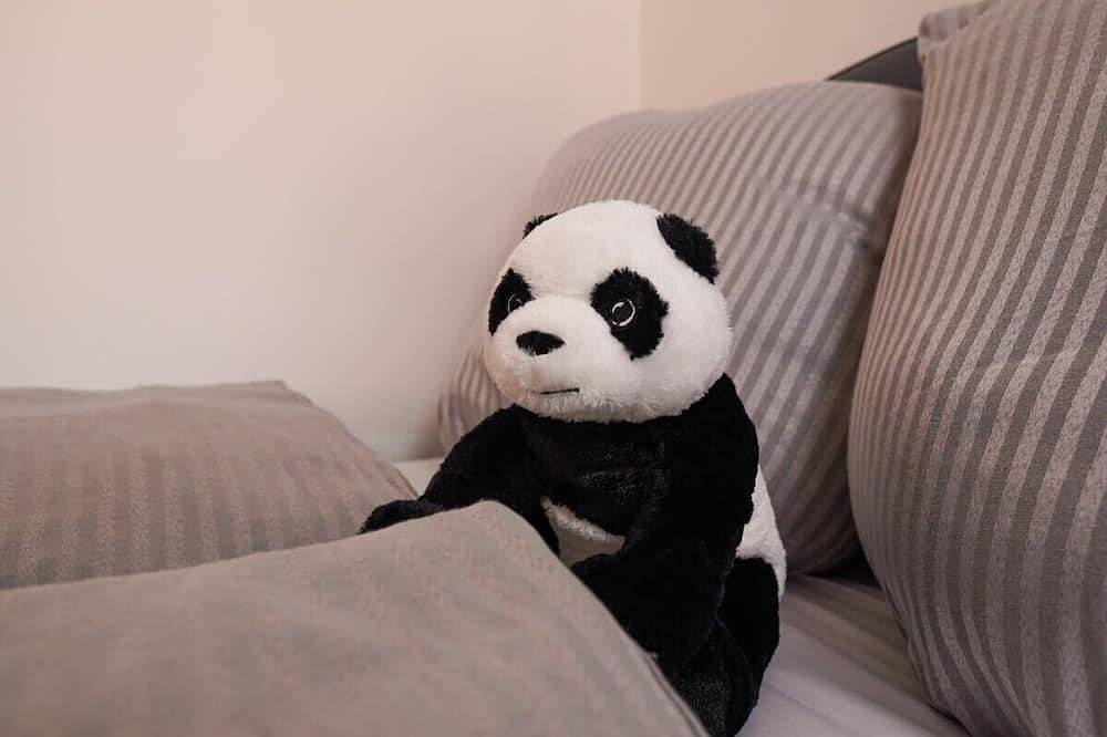 Ganze Wohnung, Fullhouse | Halle | T28 Panda Apt. in Halle, Saale-Unstrut