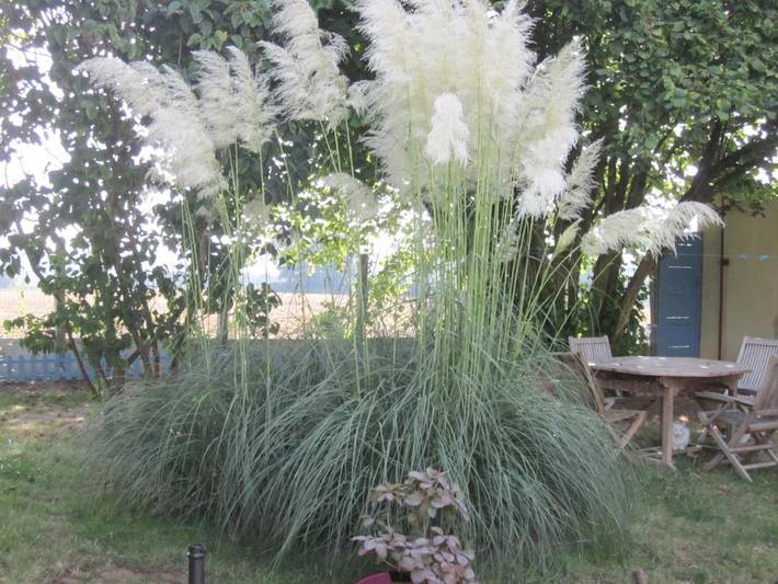 Location de vacances pour 4 personnes, avec jardin et vue à Guillac - 3